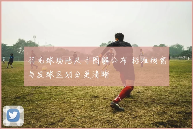 羽毛球场地尺寸图解公布 标准线宽与发球区划分更清晰