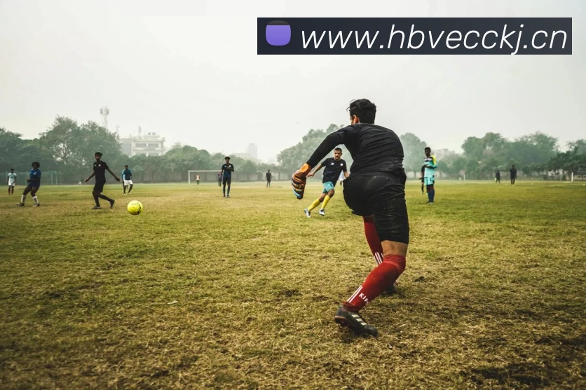 米兰网页版登录入口 - 米兰(中国)服务体系